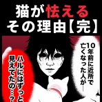 ほや助の ゾッとひと息ブログ