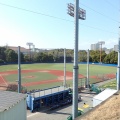 神奈川大学野球場