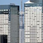 東京スカイツリー定点観測所