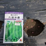 里山暮らしの雑記帳
