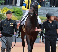 マジョレルブルー（26/05/03・4R・京都競馬場）