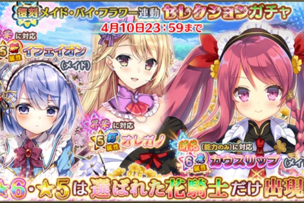 フラワーナイトガールプレイ日記 バイカソウ