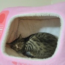 テレビの中からこんにちわ🙋