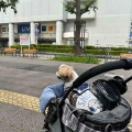 愛犬と一緒に光が丘公園でお散歩。*\(^o^)/*