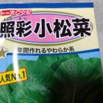 サラダプラント