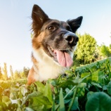 『3/21　リードワークワークショップ＠UMECO（小田原）』の画像