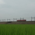 東武鉄道 ありがとう8500型8577編成ツアー その1 2025/07/05