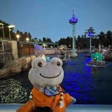 『蛙化アルバム2025総集編』の画像