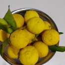 「チャングム」のロケ地‥400年前の姿そのまま…