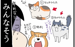 幼児に「されるがままに二つ折り猫」の献身
