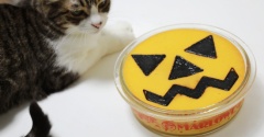 ハロウィンの甘いものと猫。
