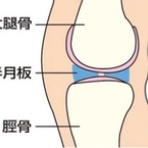 治療と運動｜ATTiVO（アッティーボ）/大阪