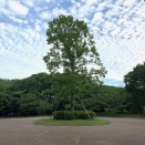 日曜散歩(*^^)v
