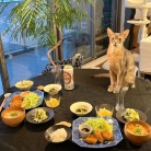 だんなさまごはんの、ヒレカツ定食の夜ごはん
