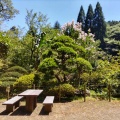 山荘の夏