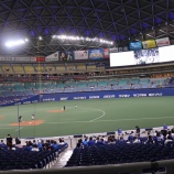 『中日は打線が多少増強されたか？ヤクルトは投手陣が』の画像