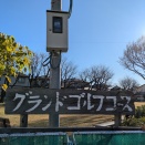 健康で遊ぶ晩年冬ぬくし