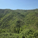 相性重視・向いてる事して幸せに♪星のお墨付☆ 踊る💃占い師の冒険譚♪モナコとイタリア行ったり来たり🚈HSP/HSS エンパス.あとサイキックちょっと入ってるらしいよ～