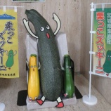 『栗っこズッキーニ　Bigな「クリッキーニョ」現る！！』の画像