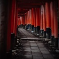 【衝撃】静岡県の神社で『恐ろしい事件』が発生してしまう・・・・・