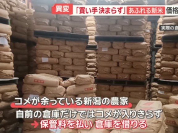 【悲報】新潟の米農家､コメの収穫量が過去最大 価格2倍で嬉しい反面､消費者のコメ離れ･コメ余りに不安も