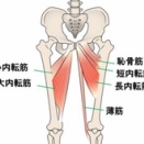 内転筋？