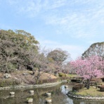 自然体で行こうじゃないか！