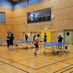 フェニックス～宮城県仙台市の卓球クラブチーム～