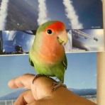 ぴっちゃん三二六