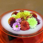 湖畔の宿 森本　時季折々～tokioriori～