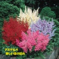 暦‐2026年5月14日