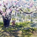 ４月３日鶴見緑地🌸天皇桜スケッチ＆⛩️葵祭に遭遇
