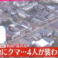 クマ被害ガチでヤバい　市街地でもクマに襲われる