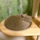 ご機嫌猪木顔💤