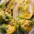 白菜漬け、始めました