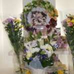 水戸ペットセレモニーのblog【ペット火葬・霊園・茨城・水戸市】