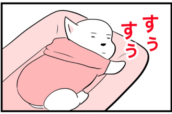 ちーちゃんっ🐾 - 犬あるある