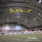 悪いキツネのスキー日記