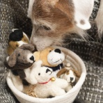 華・あず＆レン