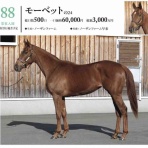 新入一口馬主の活動履歴