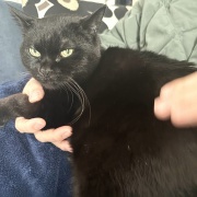 毎日が発見ネット掲載のお知らせ