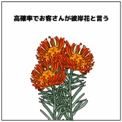 📍📍ピンクッションあるある📍📍