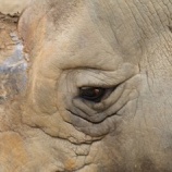 『悲しい現実の中で宇宙の叡智を信じる』の画像