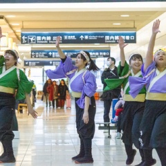 エアポートよさこい 倅の写真箱
