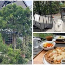 TENOHA東松山（テノハ東松山）犬同伴可レストラン