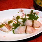 土佐料理　旬の鰹がゆく！