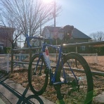 GIANT TCRでゆるぽた日記