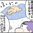 猫はもう感じない