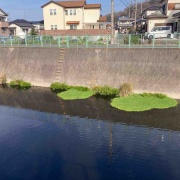 ������������