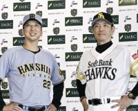 日本シリーズ、阪神ファンの本音「横浜応援するわ」「むしろ惨敗してほしい」